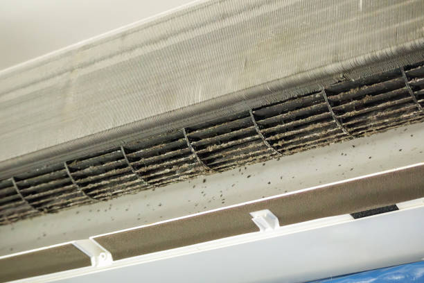 Best Air Duct Cleaning Near Me  in Sneads Ferry, NC